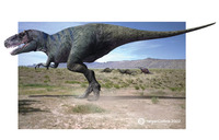 Tarbosaurus.jpg