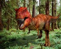 Tyrannosaurus Rex1.jpg