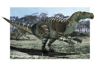 Iguanodon.jpg