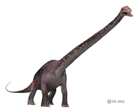 Seismosaurus1.jpg