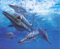 Ichthyosaurus.jpg