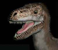 dromaeosaurus-albertensis.jpg
