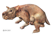 Diprotodon.jpg