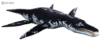 Liopleurodon1.jpg