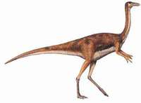 gallimimus1.jpg