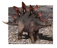 Stegosaurus.jpg