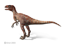 Dromaeosaurus.jpg