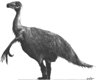 erlikosaurus.jpg
