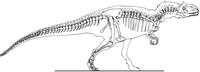 allosaurus skeleton.JPG