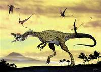 elaphrosaurus.jpg