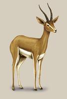 Gazella dorcas.jpg