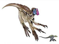 chirostenotes.jpg