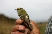 bird8705 1178602365 01.jpg