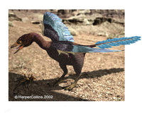 Archaeopteryx.jpg