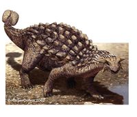 Ankylosaurus.jpg