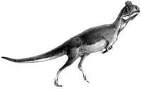 cryolophosaurus.JPG