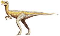 oviraptor3.jpg