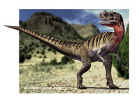 Ceratosaurus.jpg