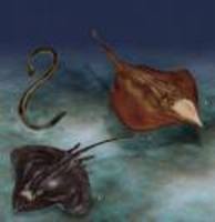 a u bathy01.jpg