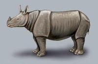Rhinoceros sondaicus.jpg