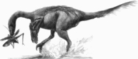 troodont.jpg