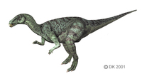 Camptosaurus1.jpg