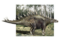Huayangosaurus.jpg