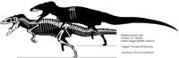 megalosaurus.JPG
