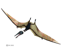 Pterodactylus1.jpg