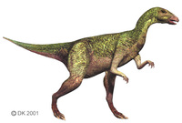 Dryosaurus1.jpg