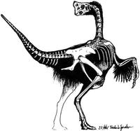 oviraptorid.JPG