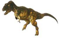 Daspletosaurus.jpg