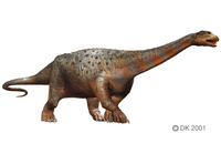 Saltasaurus1.jpg