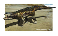 Postosuchus.jpg