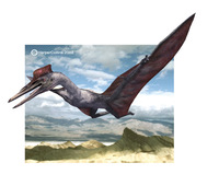 Quetzalcoatlus.jpg