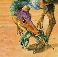 sinosauropteryx2.jpg