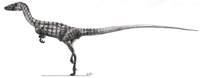 procompsognathus.jpg