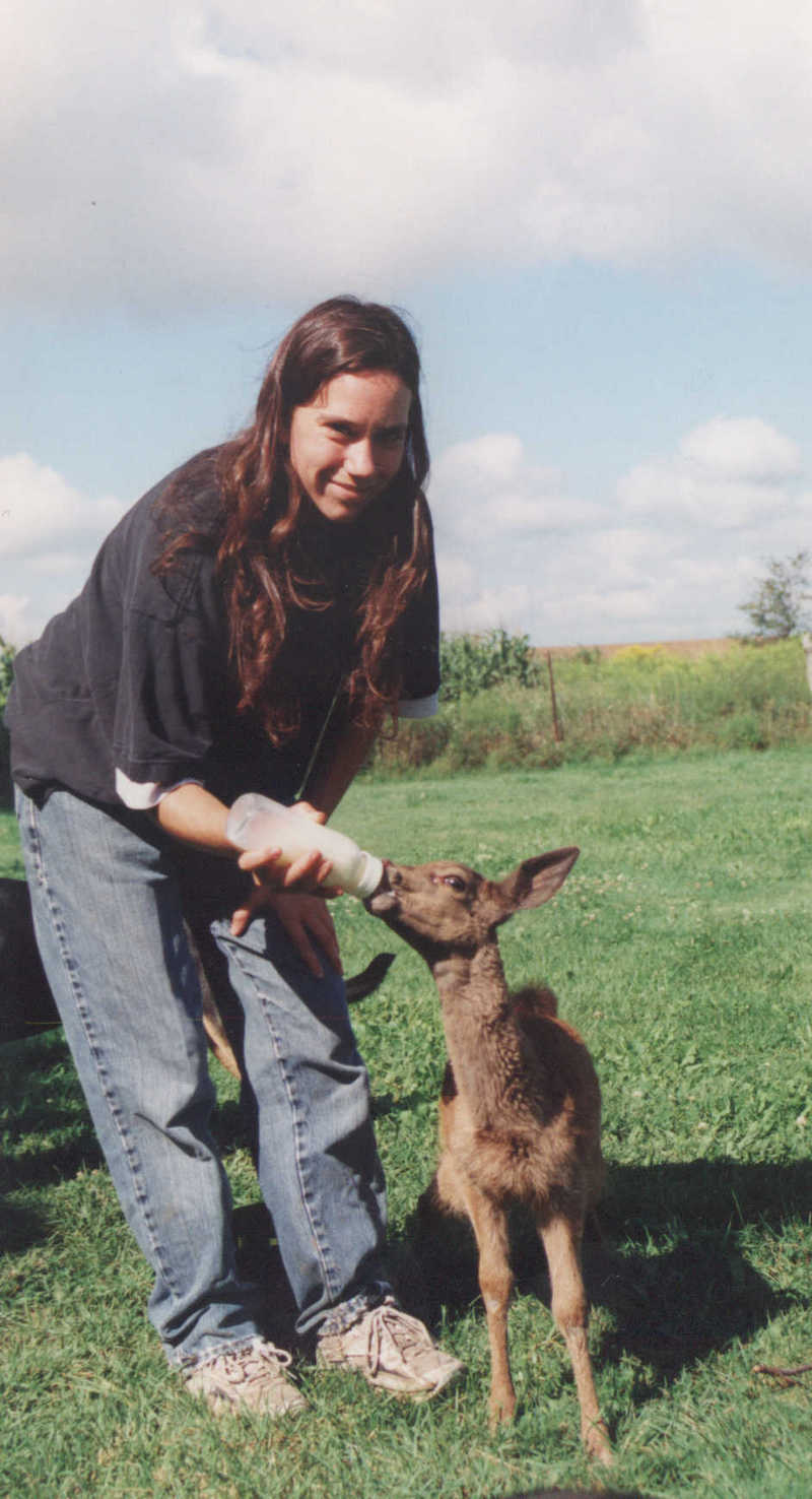 Belinda2-Deer-by Mike Sharrard.jpg