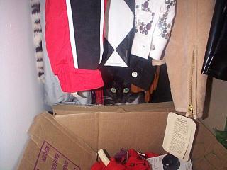 Bootscloset-Tuxedo House Cat-by Mary Cummins.jpg