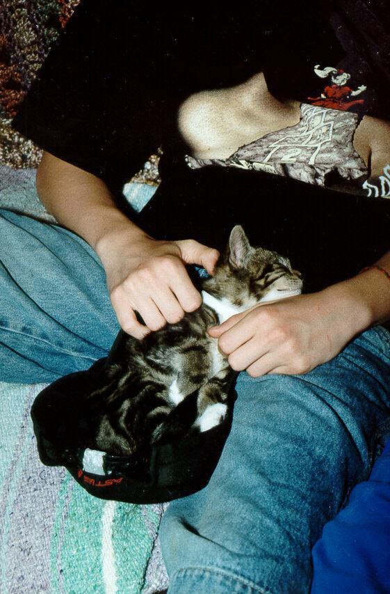 Mugsy03-Kitten and Boy-by S Thomas Lewis.jpg