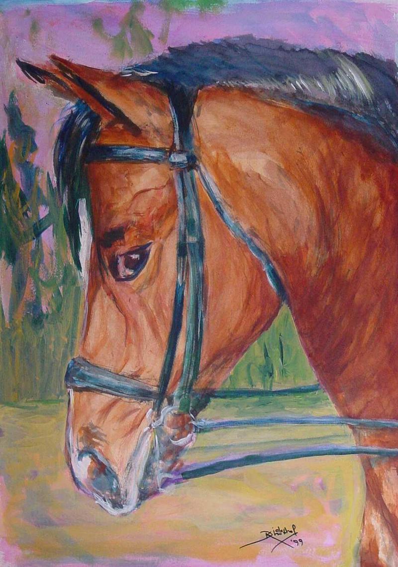 Paardekop-Horse s Head-Art by Dick Kruithof.jpg