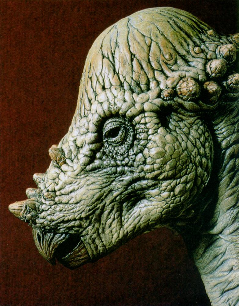 Pachycephalosaurus J01-Dinosaur-Face.jpg