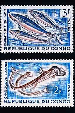 Stamp1 Fish-Rainbow Runners-and-Sloanes Viperfishes.jpg