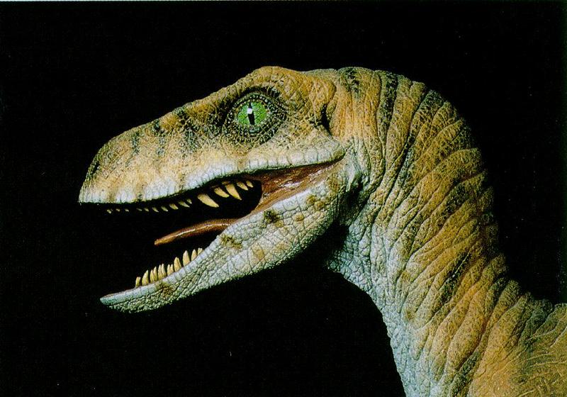 Velociraptor J01-Dinosaur-Face.jpg