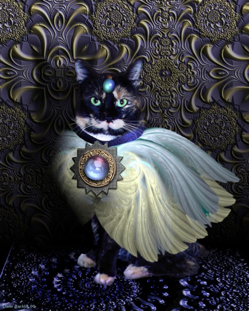 Yaz in Fractal World-Calico House Cat-by Linda Bucklin.jpg