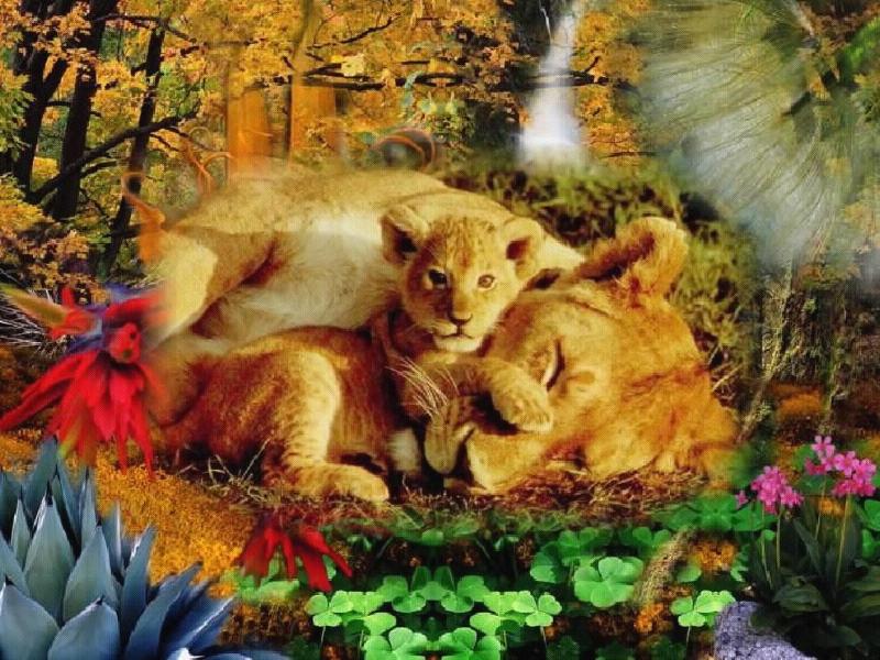 African lionsleeps-mom and cub-by April Grimm.jpg
