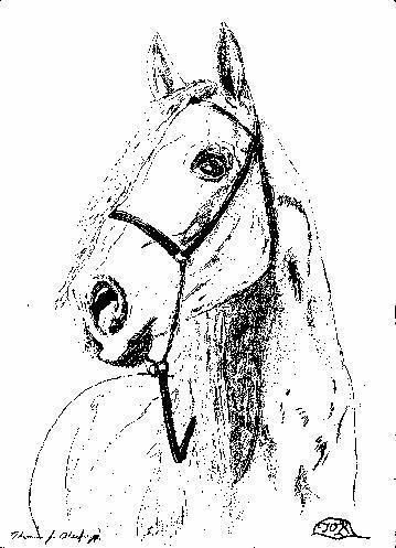 Artwork-MorganMare2-Horse-by Thomas O'Keefe.jpg