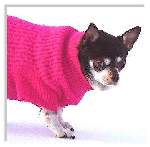Brownie-snow-2-8a-Chihuahua Dog-by Ken Mezger.jpg