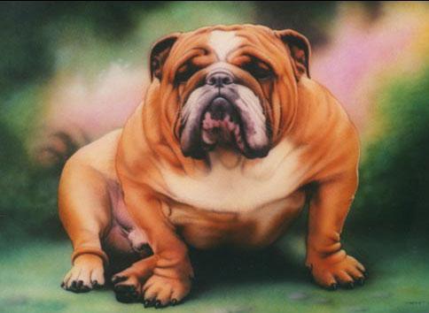 Bulldog painting-by Dineke Jansen.jpg