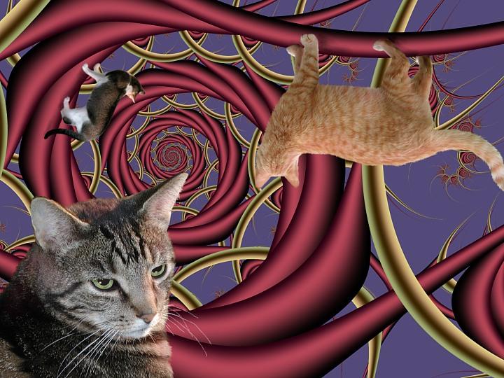 Cat Story2 b fractals-House Cats-by Linda Bucklin.jpg